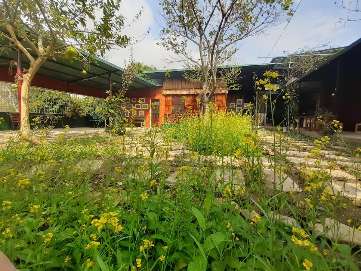 Homestay Lan Rung Nghia Lo Екстериор снимка