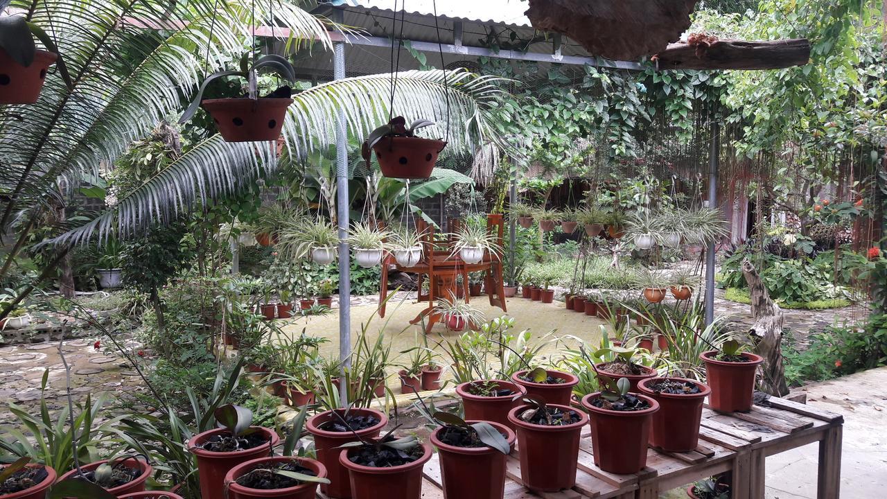 Homestay Lan Rung Nghia Lo Екстериор снимка