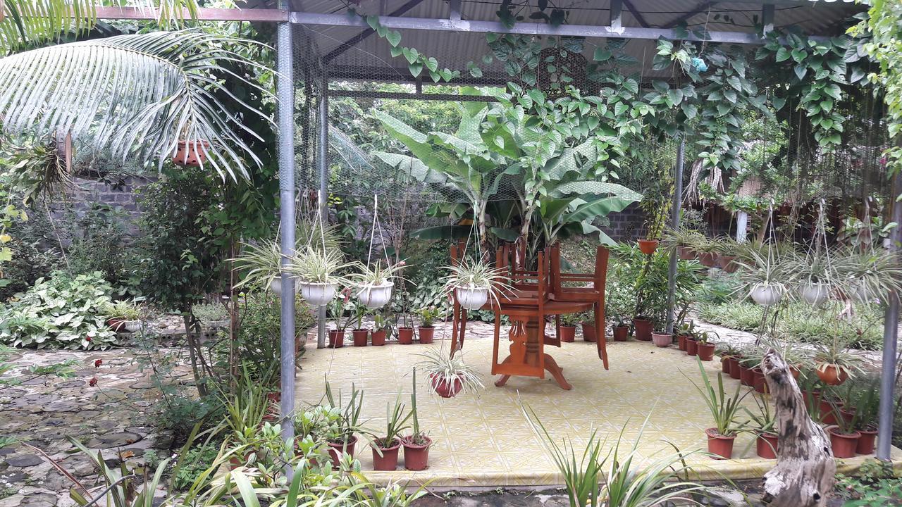 Homestay Lan Rung Nghia Lo Екстериор снимка