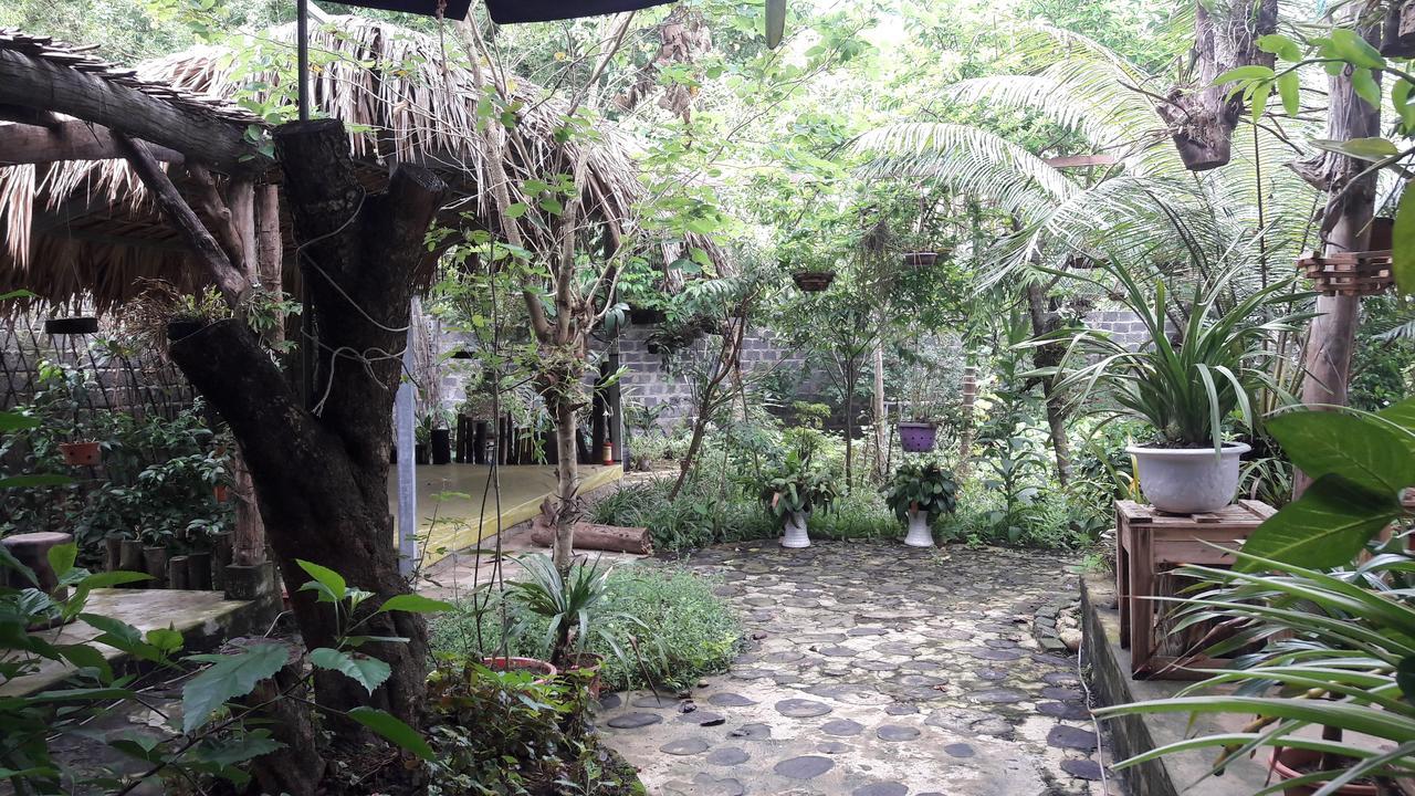 Homestay Lan Rung Nghia Lo Екстериор снимка